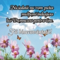 Ornament magnet Niciodata nu vom putea...